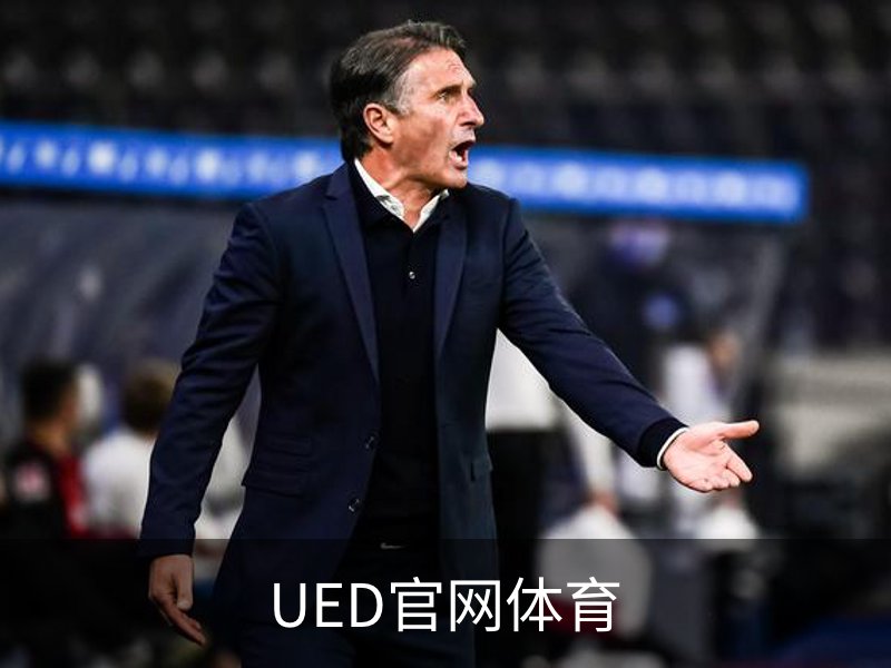 UED官网体育概况